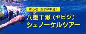 八重干瀬シュノーケリングツアー