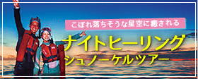 ナイトヒーリング シュノーケル