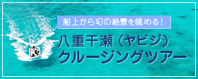 八重干瀬体験クルージング