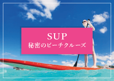 SUP秘密のビーチクルーズ